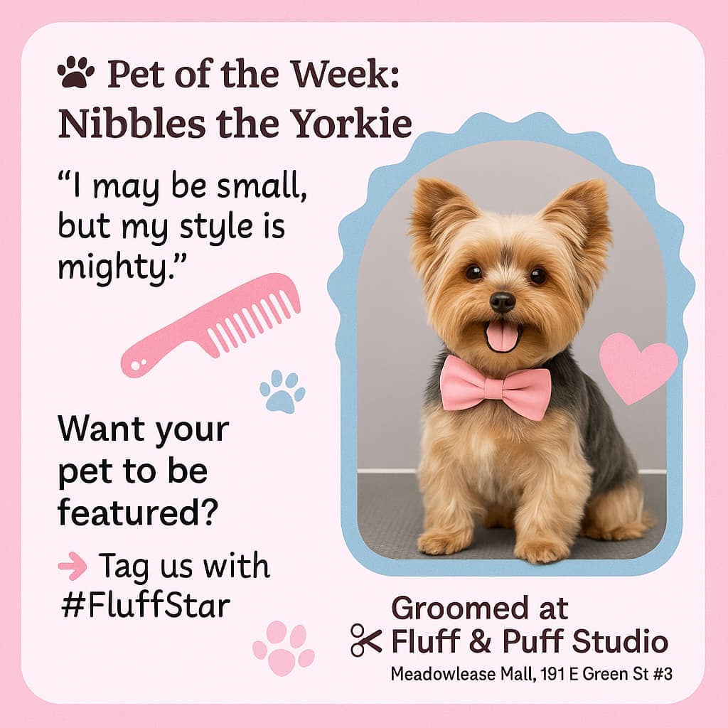 Pet of the Week Featurette